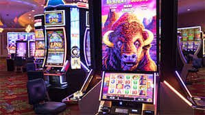 bull99 slot